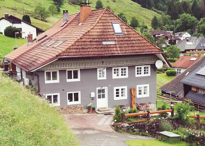 Gemuetliches Schwarzwaldhaus Im Ferienparadies Todtnau