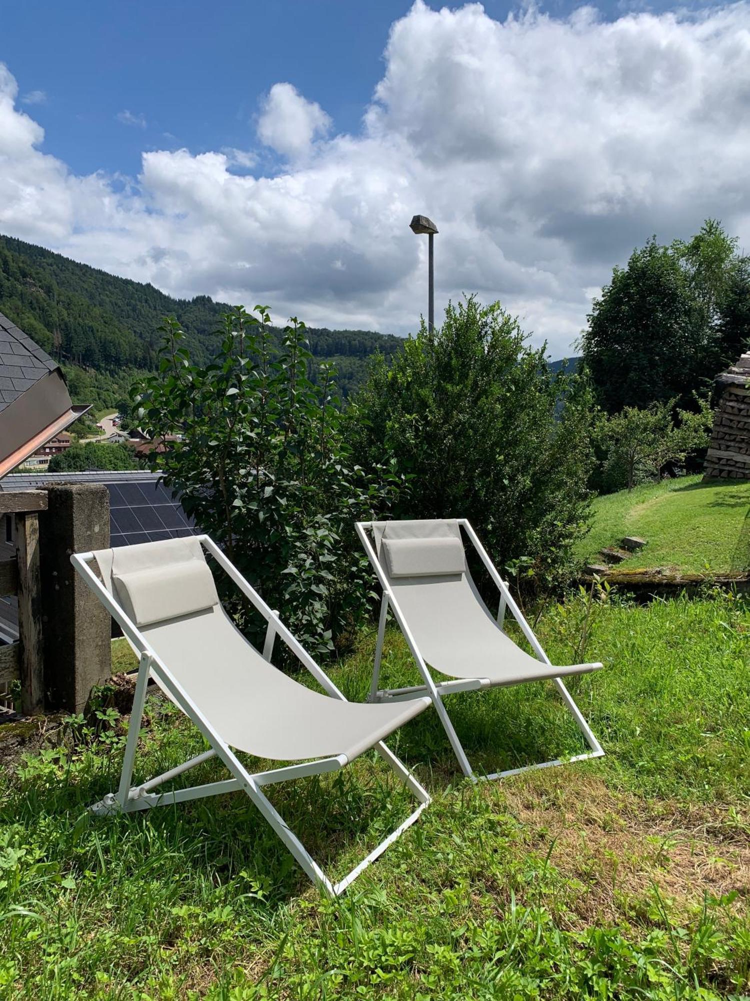 Gemuetliches Schwarzwaldhaus Im Ferienparadies Apartment Todtnau